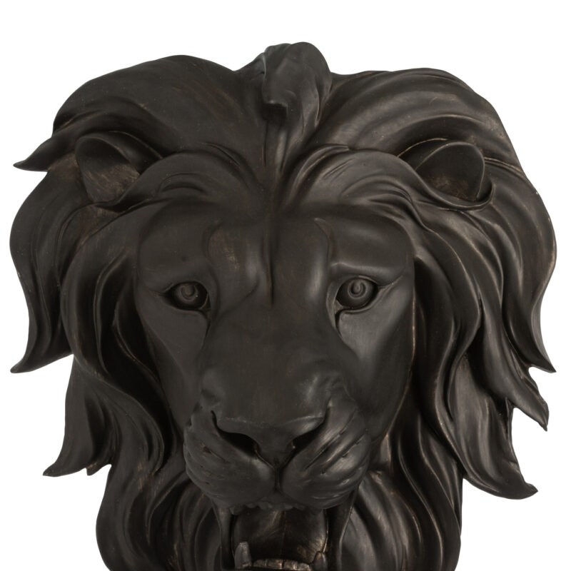 Löwenkopf Hängend